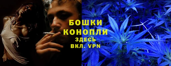 первитин Белоозёрский