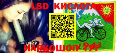 эйфоретик Малгобек