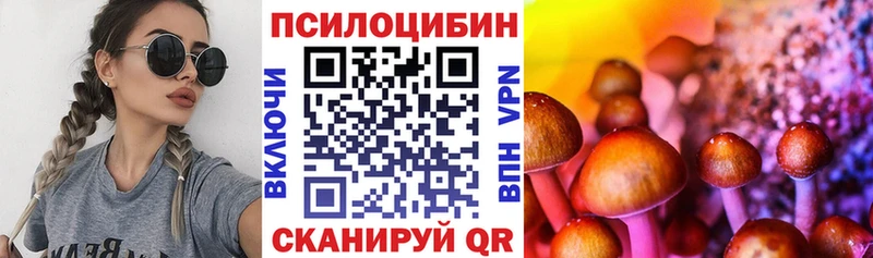 Псилоцибиновые грибы мицелий  KRAKEN ссылки  Горячий Ключ  закладки 