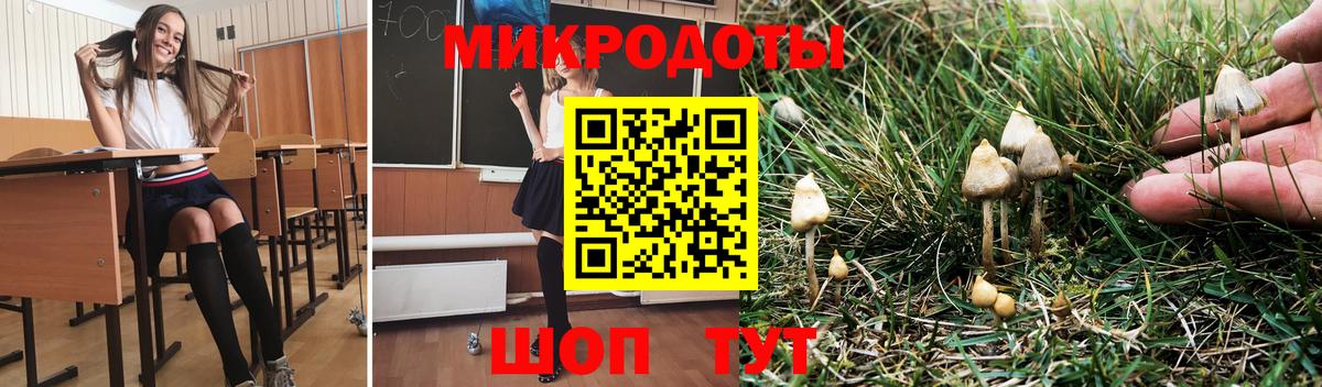 Горячий Ключ  Псилоцибиновые грибы прущие грибы  Вход с VPN 