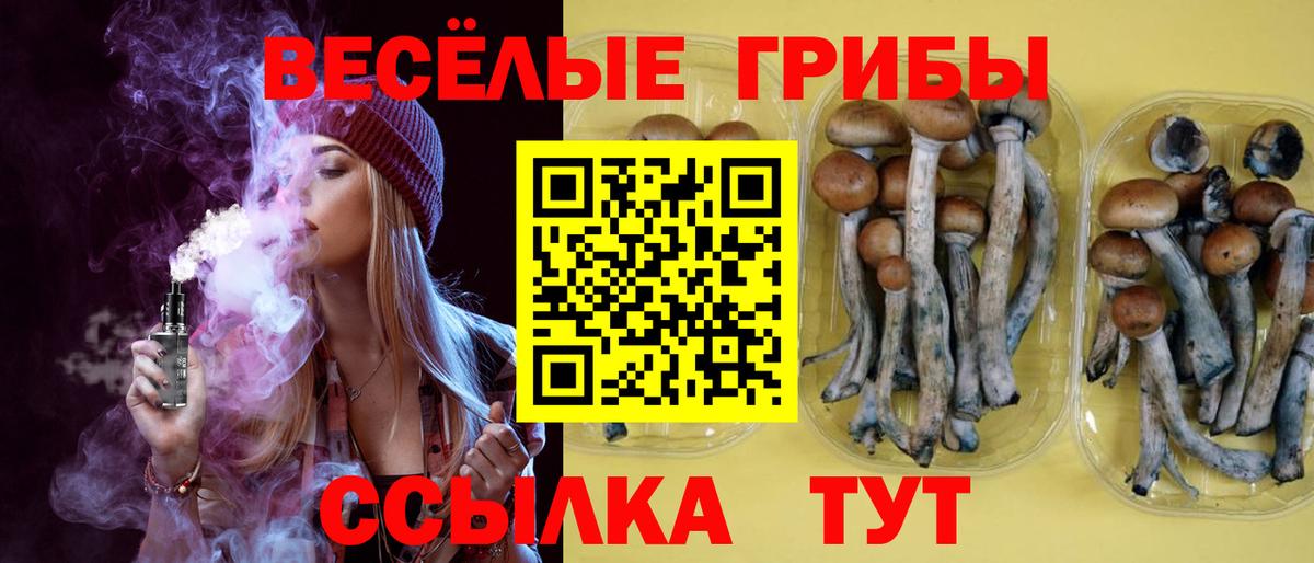 Галлюциногенные грибы Magic Shrooms Горячий Ключ